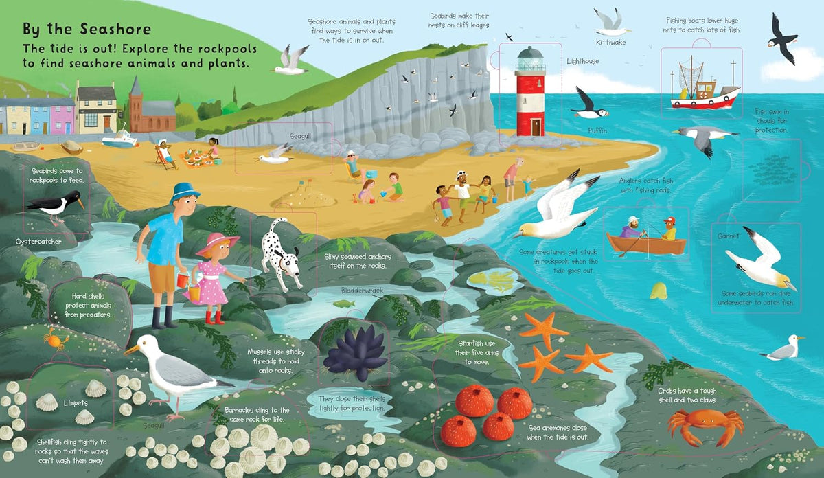 Lift the Flap: Discovery! Oceans