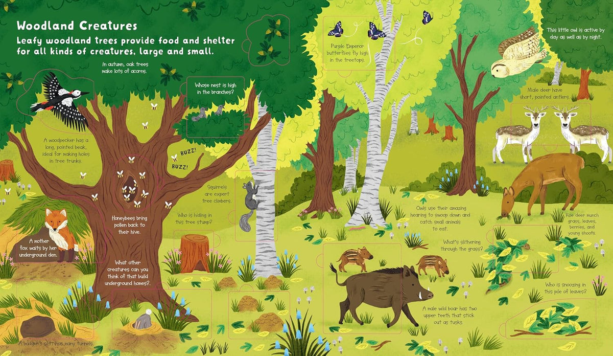 Lift the Flap: Discovery! Animals