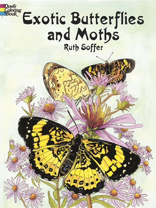 Exotic Butterflies & Moths