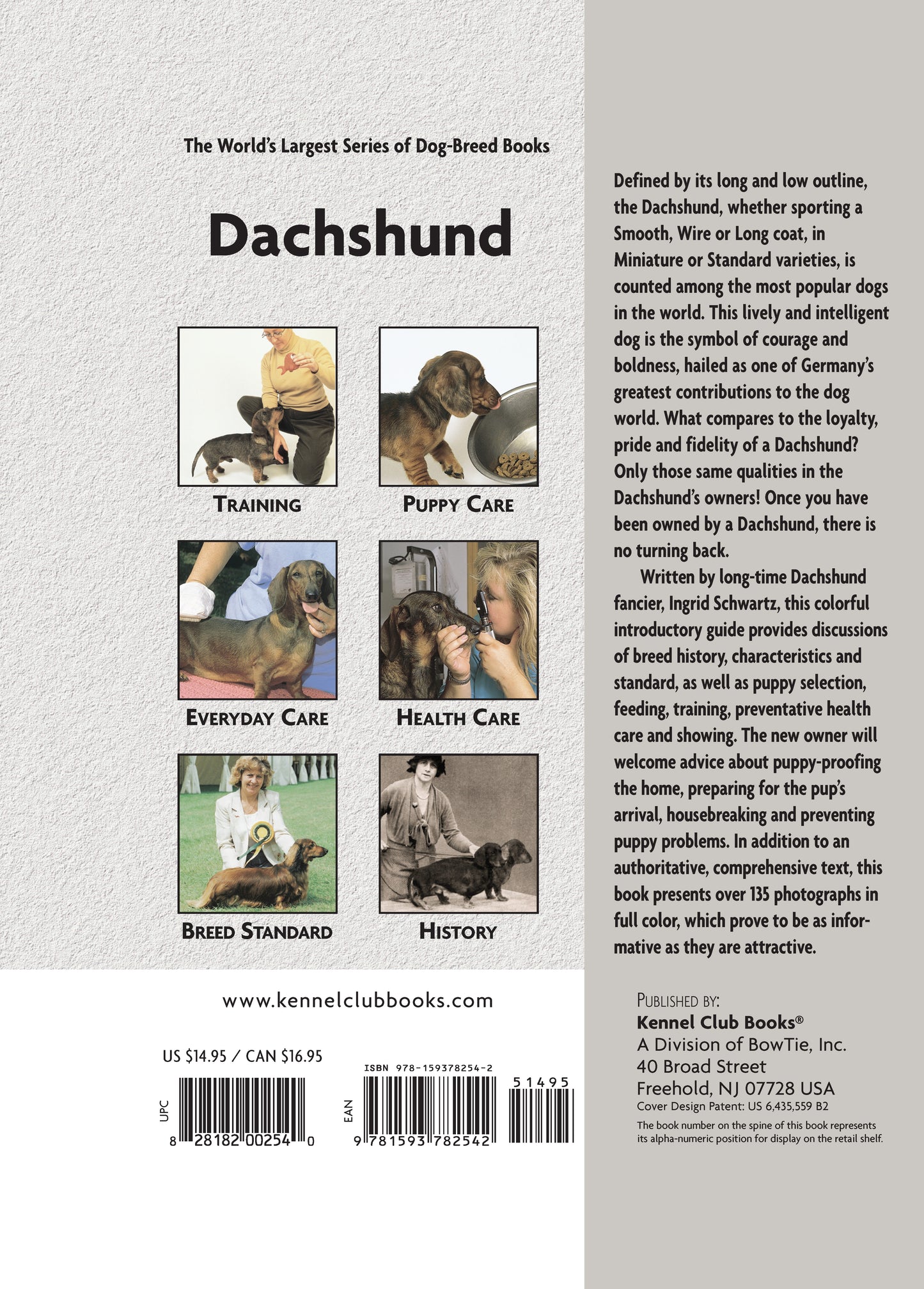 Dachshund