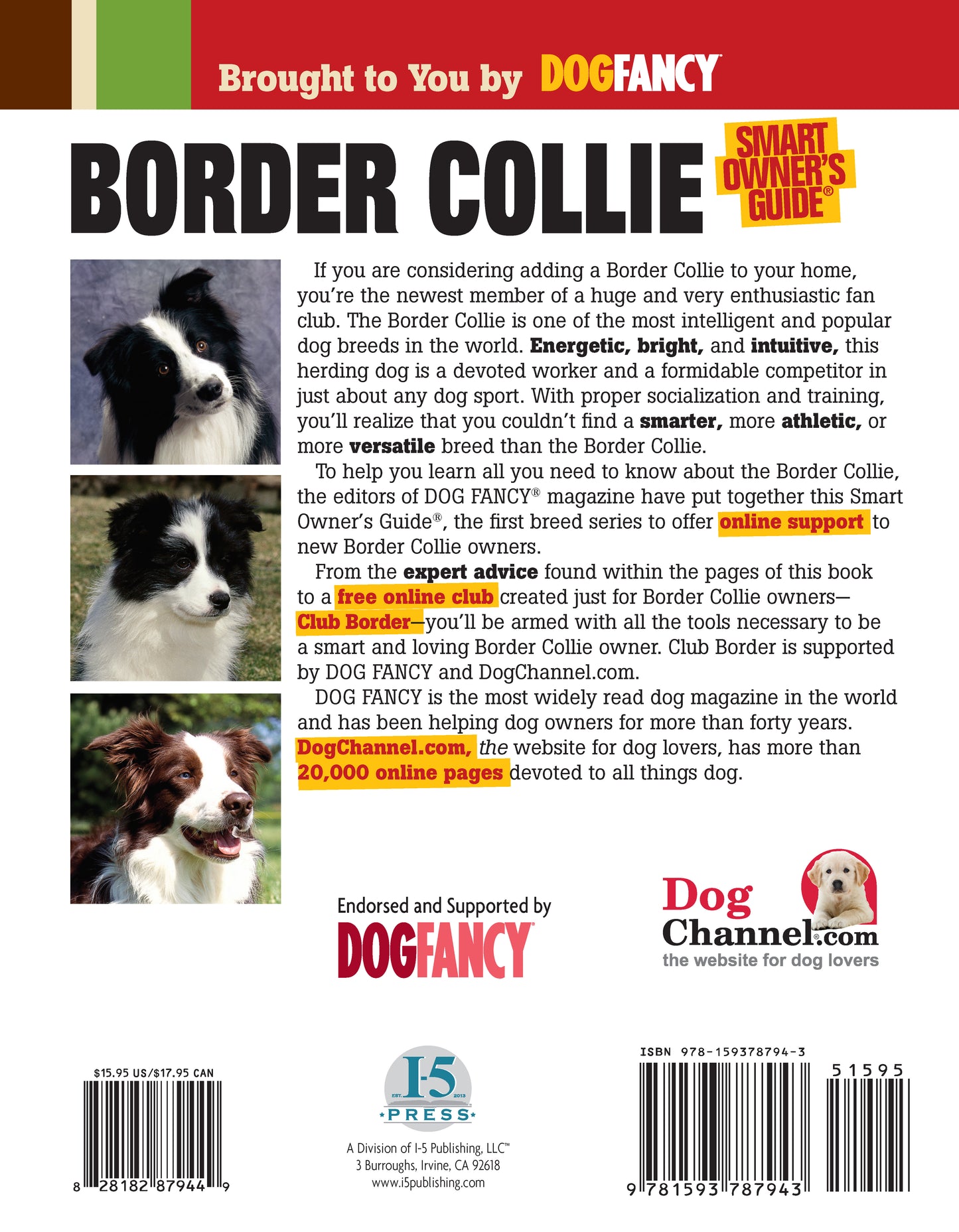 Border Collie