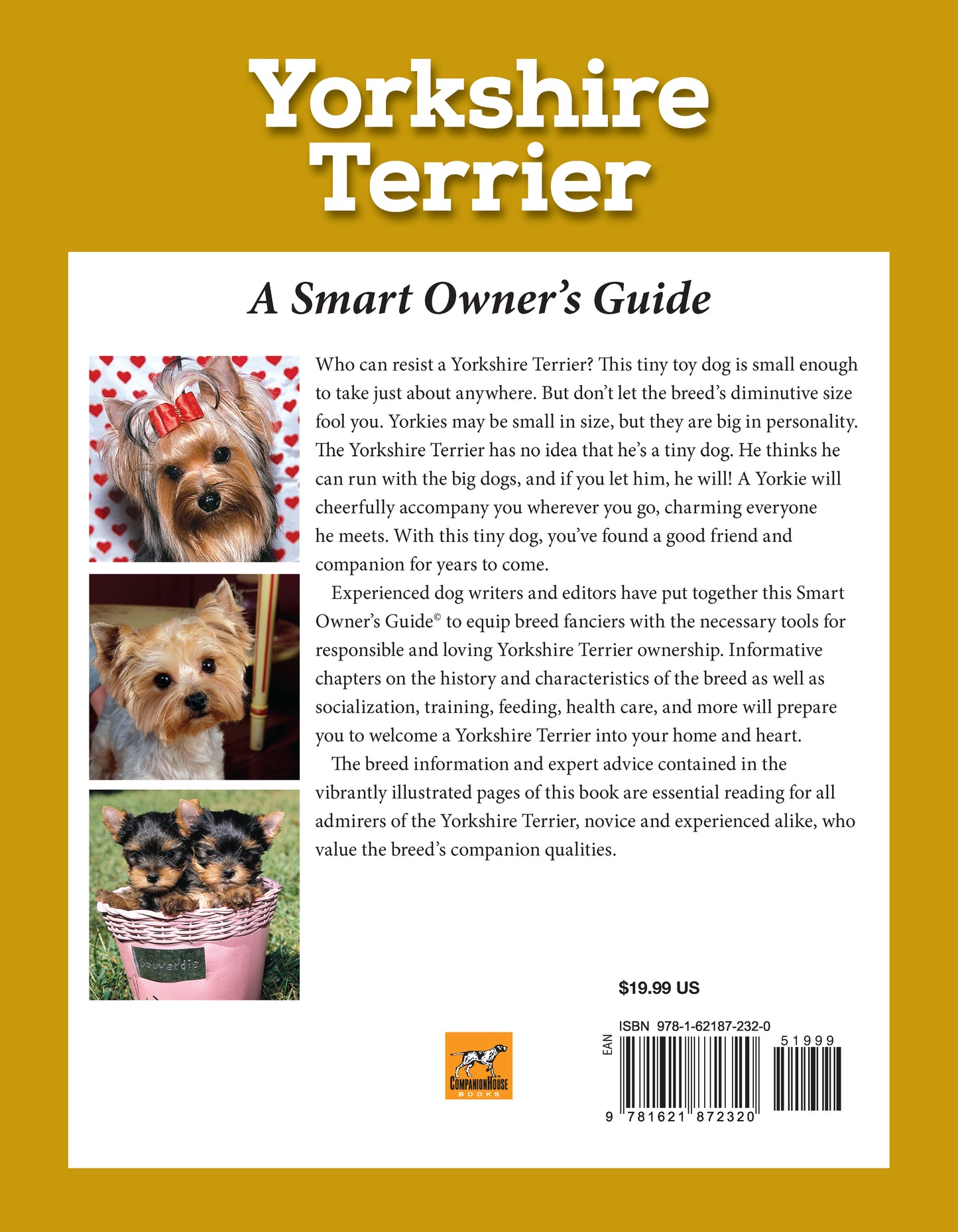 Yorkshire Terrier