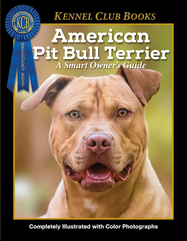 American Pit Bull Terrier - Main Image