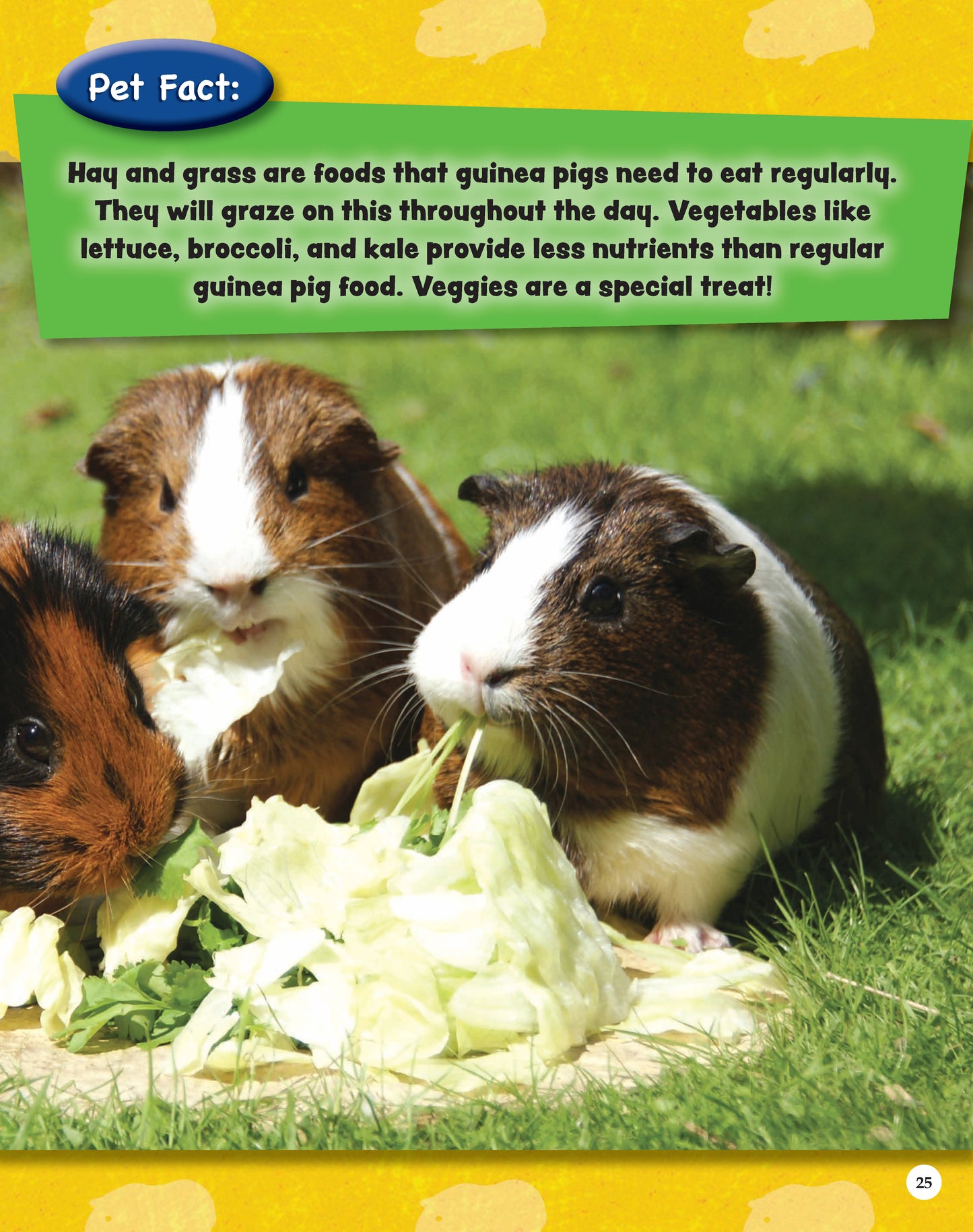 If Animals Could Talk: Guinea Pigs (SC)