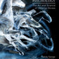 Applied Equine Psychology