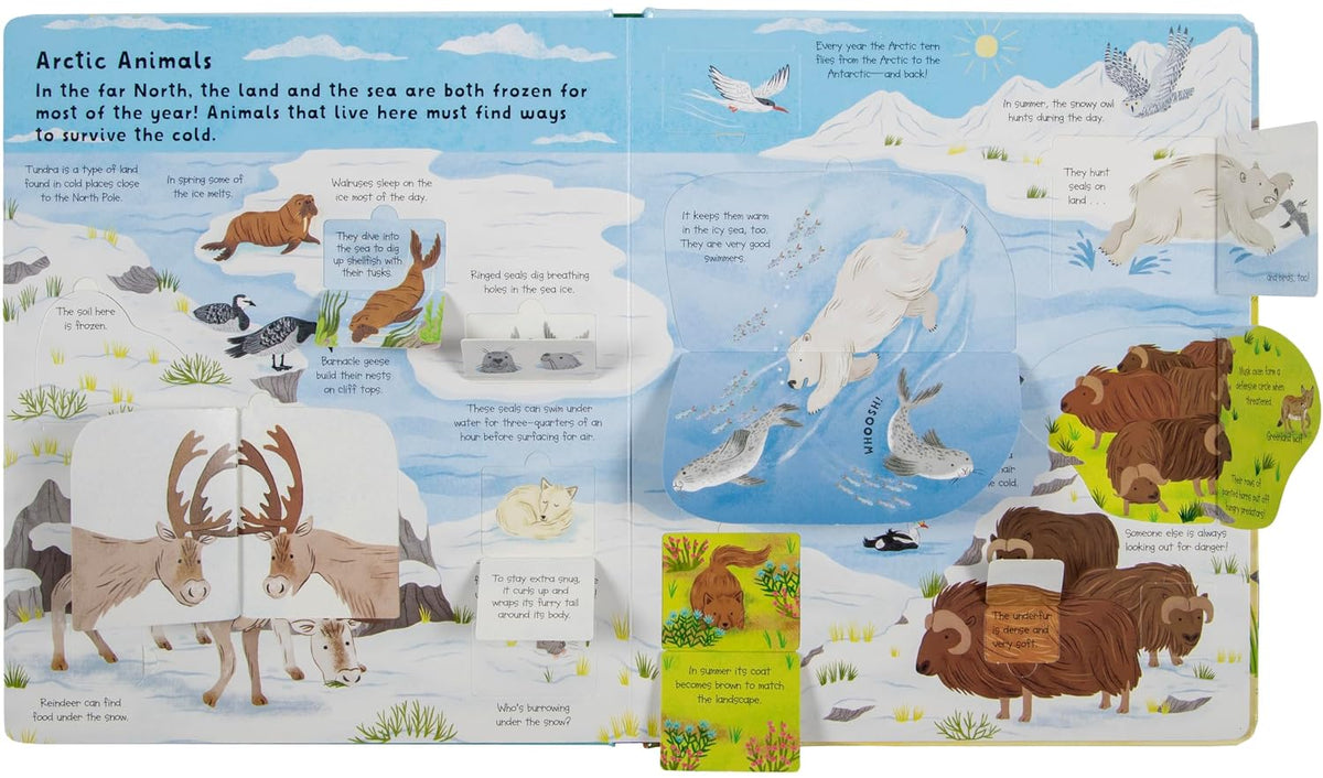 Lift the Flap: Discovery! Animals