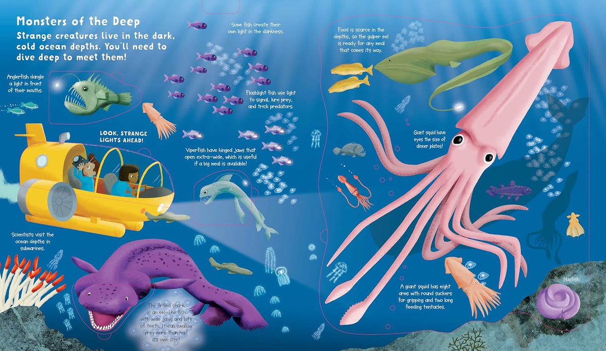 Lift the Flap: Discovery! Oceans
