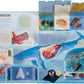 Ultimate Lift the Flap Encyclopedia of Oceans
