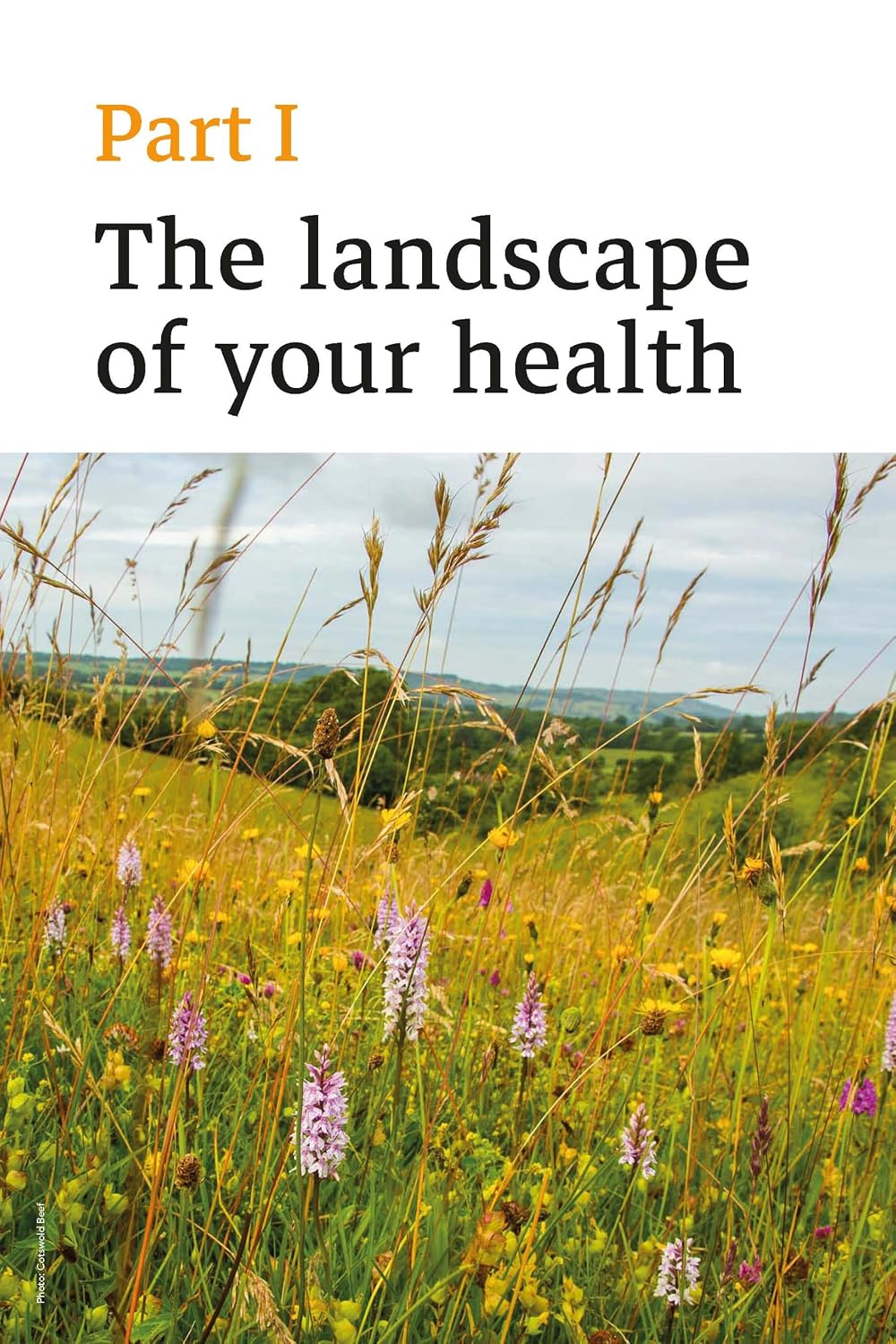 Soil to Gut