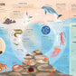 Ultimate Lift the Flap Encyclopedia of Oceans
