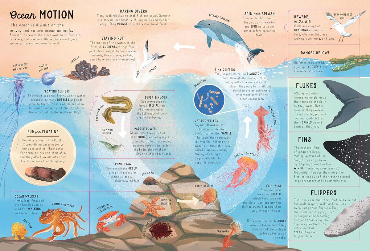Ultimate Lift the Flap Encyclopedia of Oceans