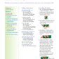 Borders The basics & beyond