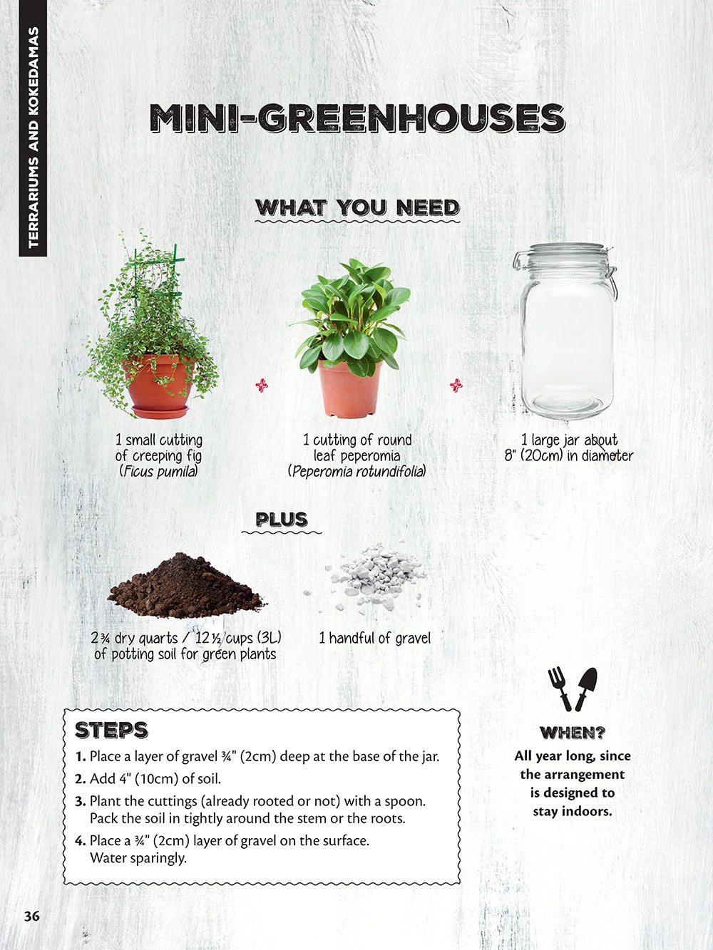 50 Simple Indoor Miniature Gardens