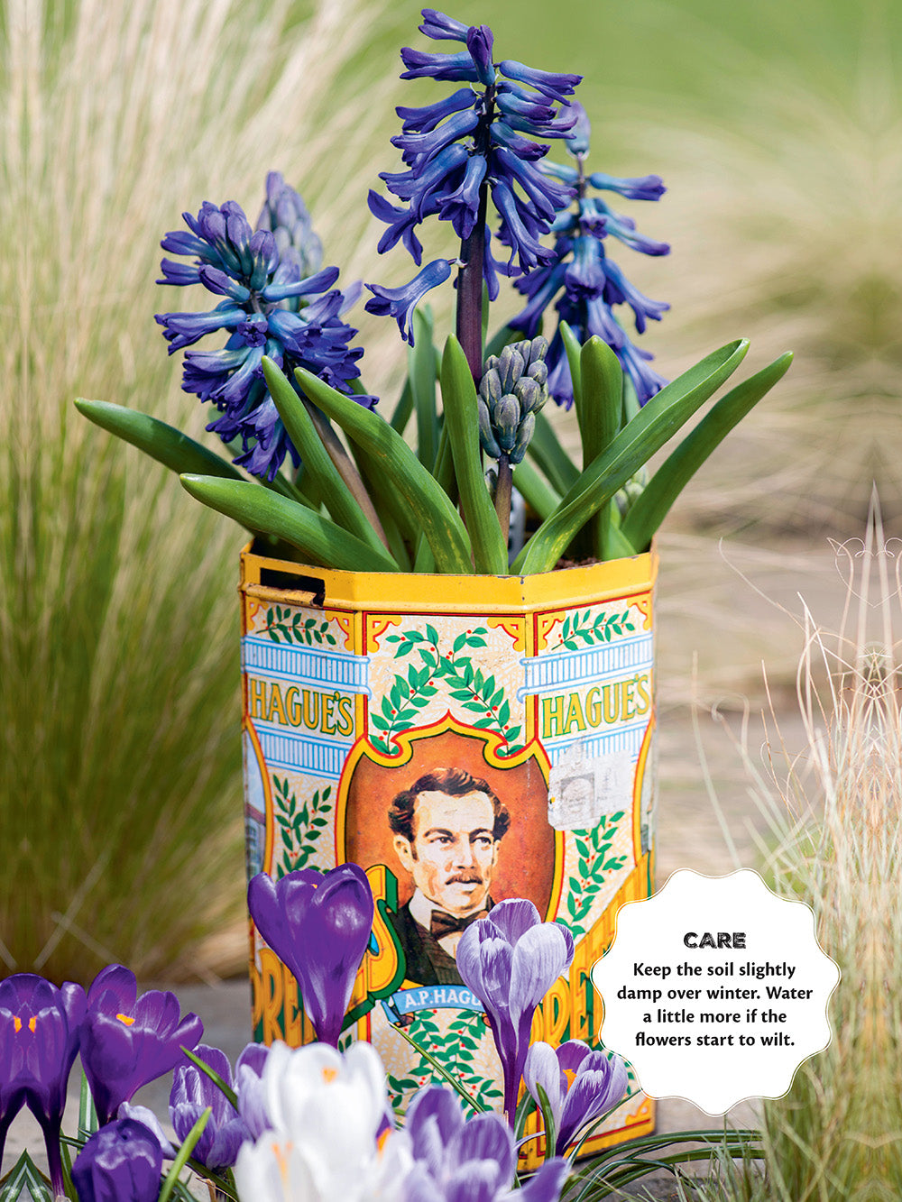 50 Simple Indoor Miniature Gardens