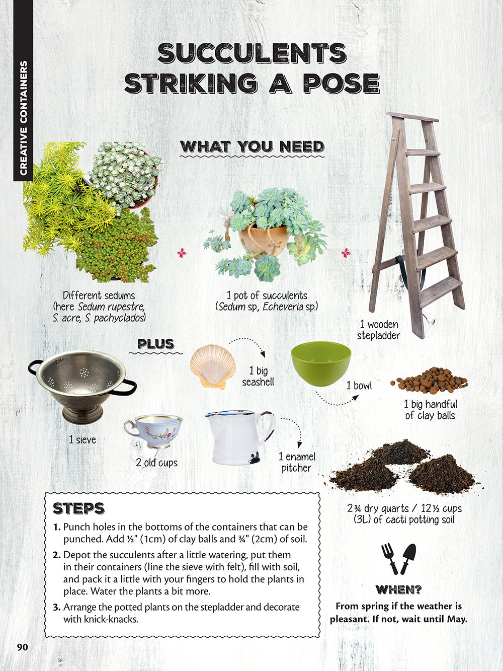 50 Simple Indoor Miniature Gardens