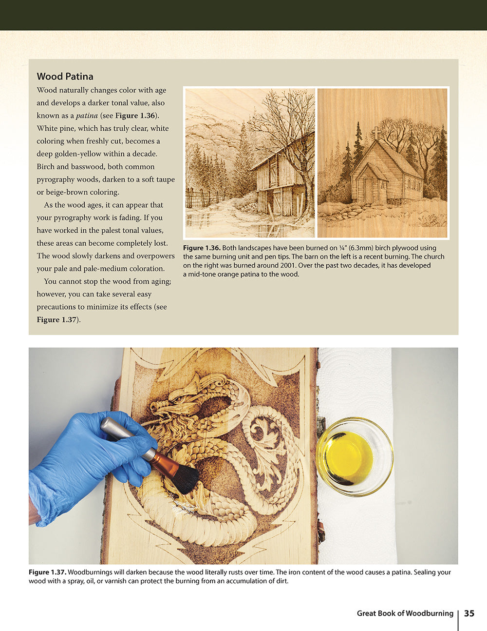 Great Book of Woodburning, Revised and Expanded Second Edition