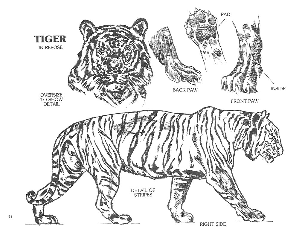 Nature In Wood Book 3