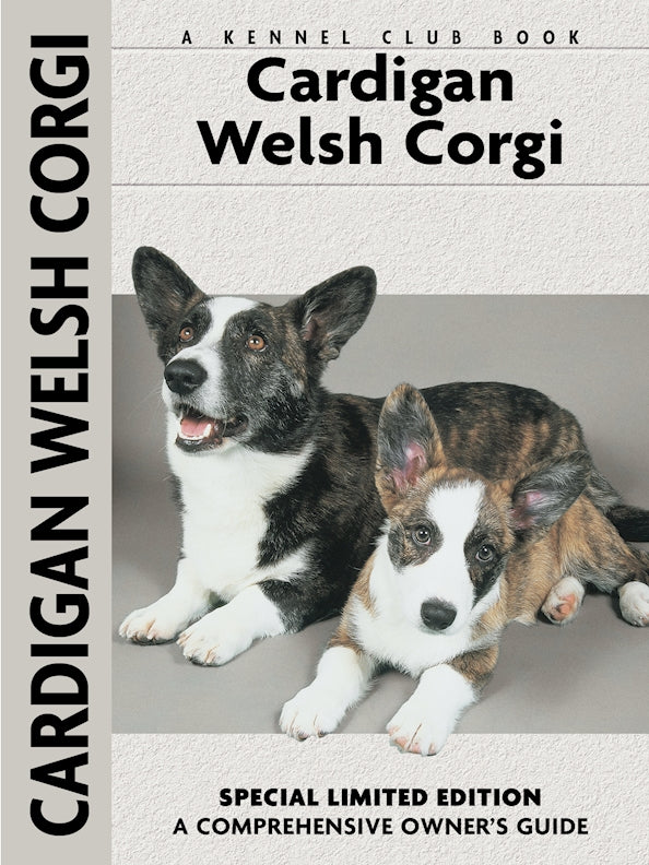 Cardigan Welsh Corgi