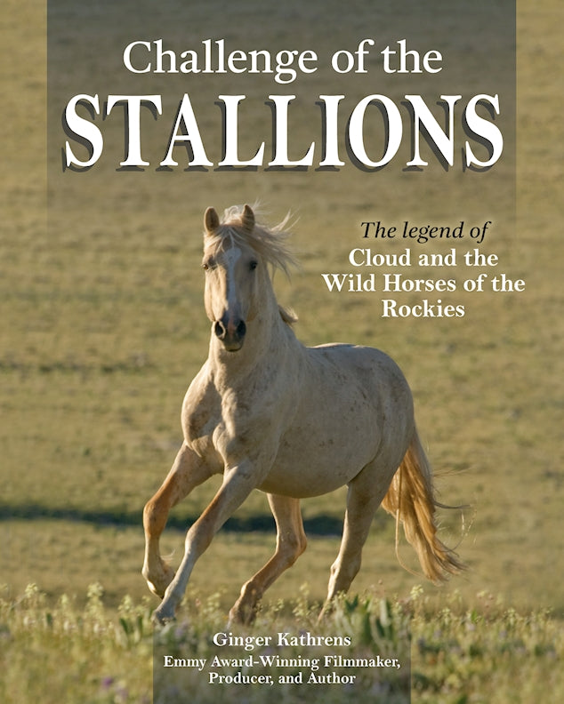 Challenge of the Stallions