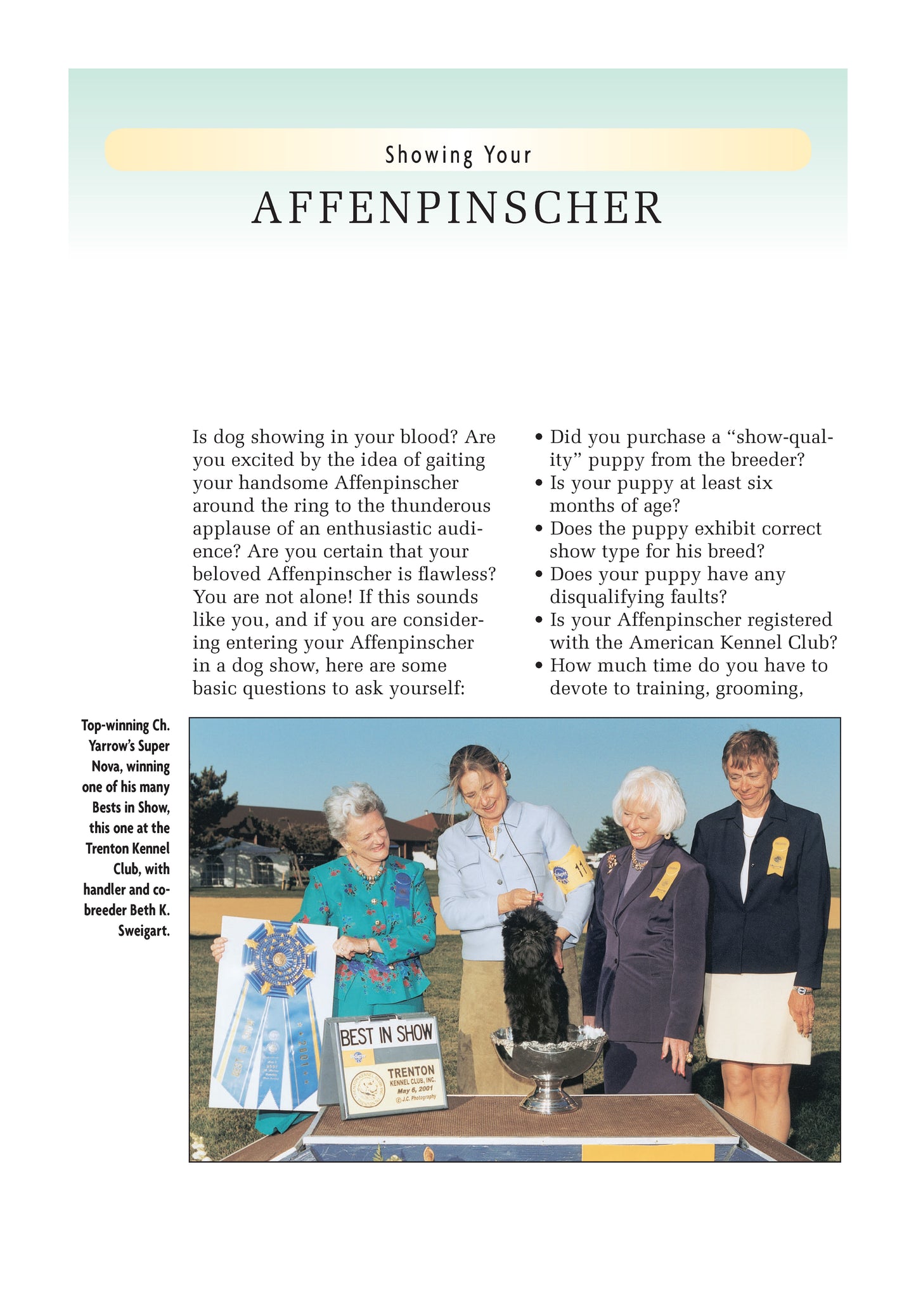 Affenpinscher (Comprehensive Owner's Guide)