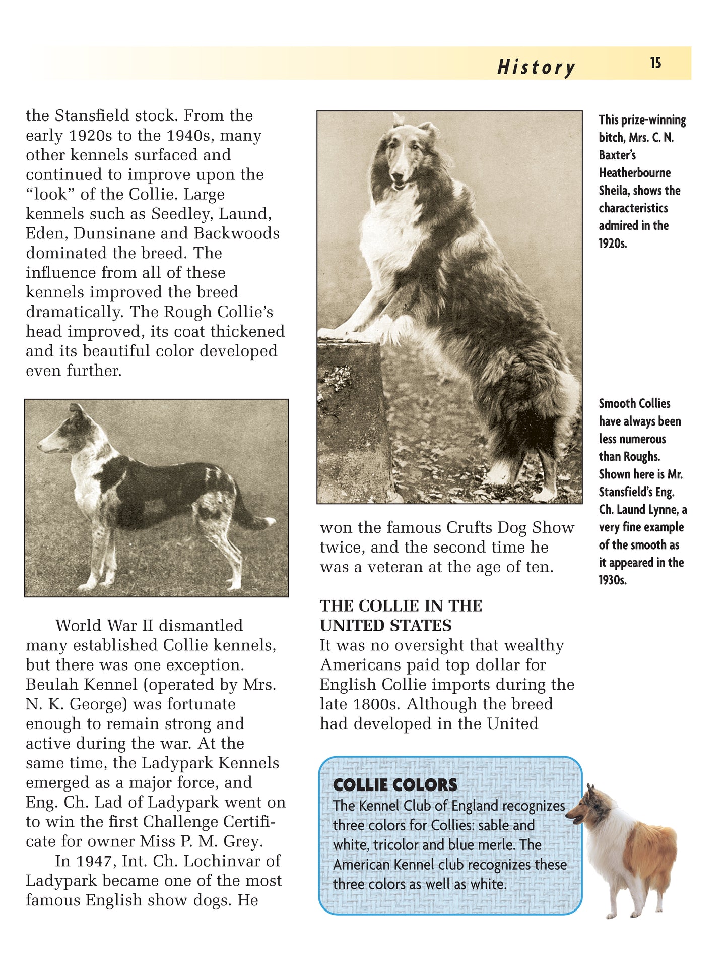 Collie (Comprehensive Owner's Guide)