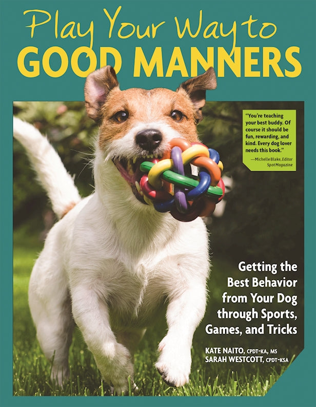 Play Your Way to Good Manners