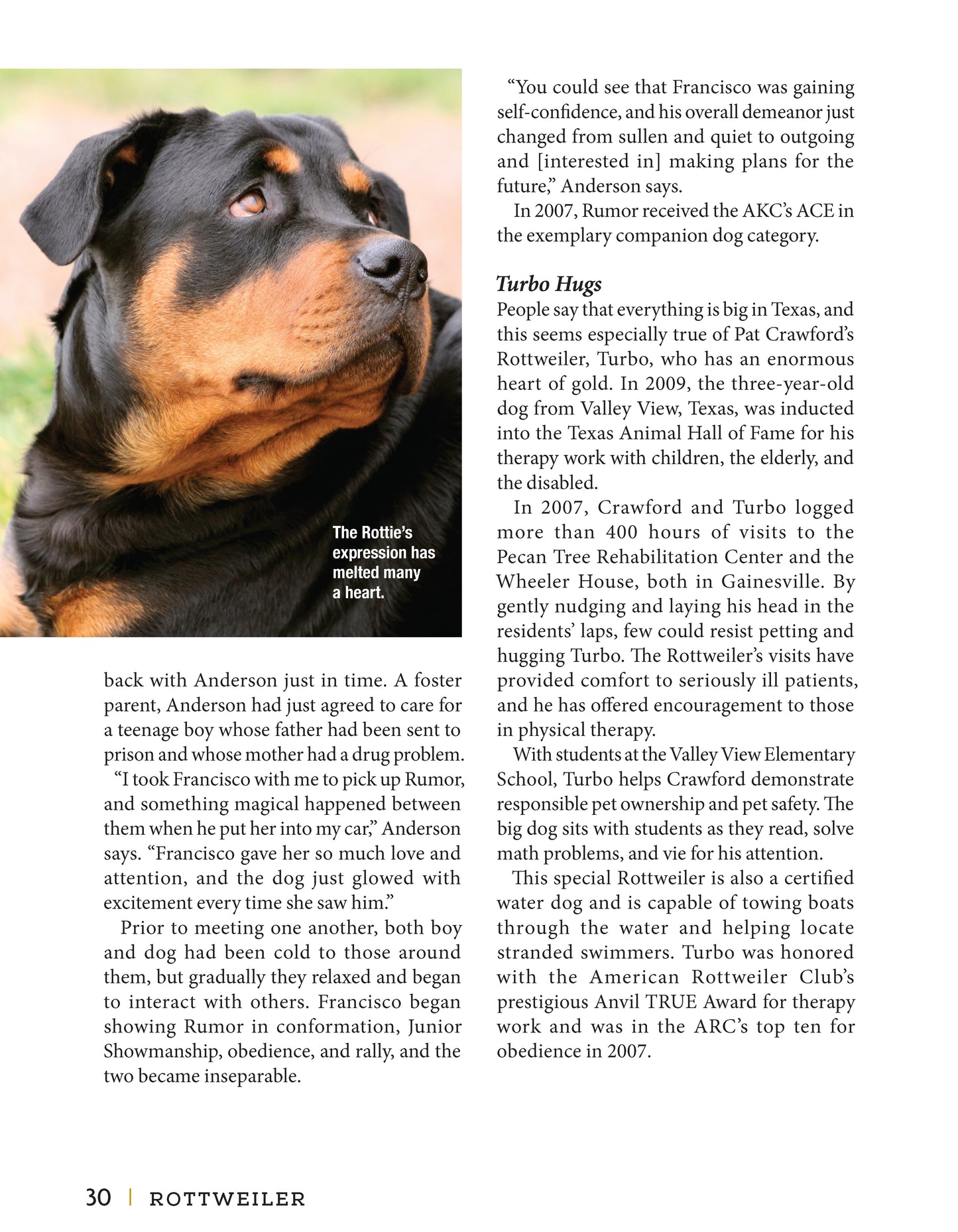 Rottweiler
