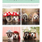 Sookie and Ivy Crochet Cute Dog Hats