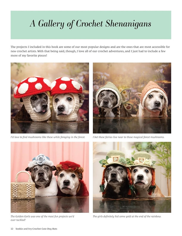 Sookie and Ivy Crochet Cute Dog Hats
