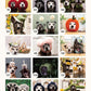 Sookie and Ivy Crochet Cute Dog Hats