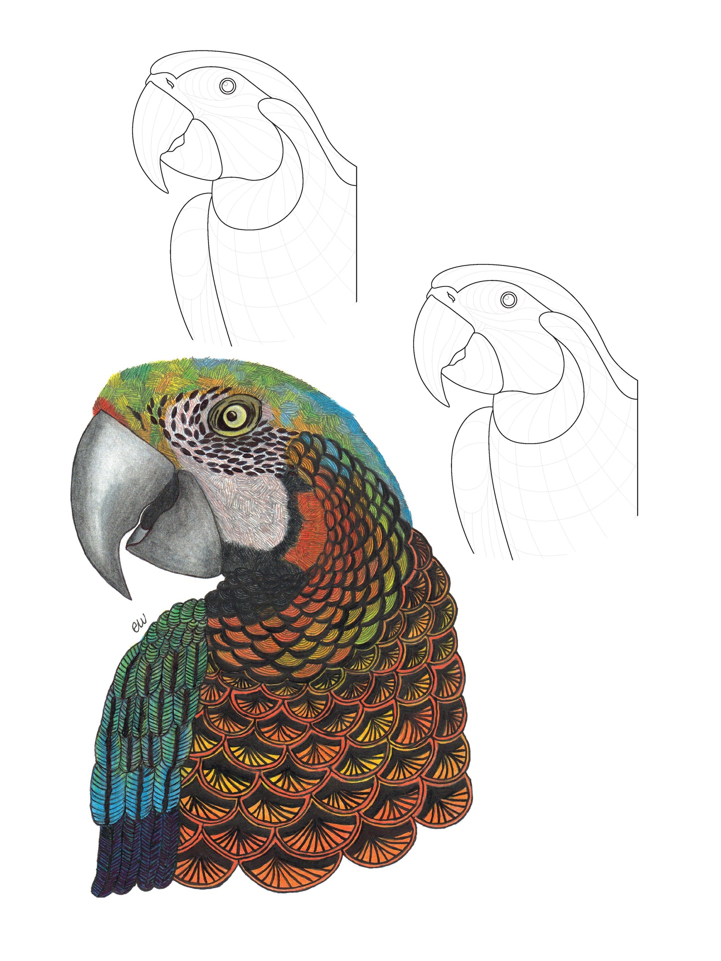 TangleEasy Lined Journal Parrot