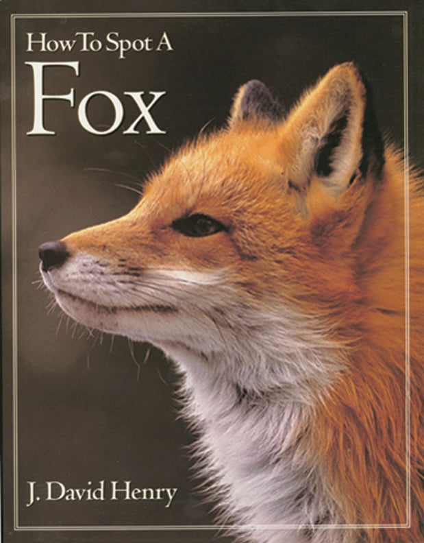 How to Spot A Fox