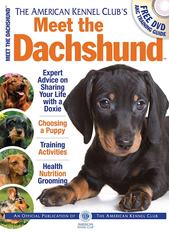 Meet the Dachshund