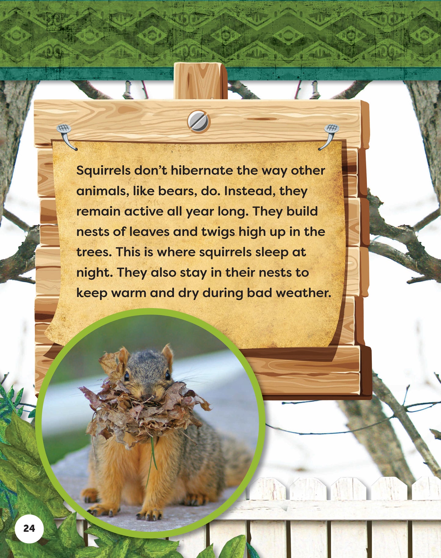 Kids' Backyard Safari: Gray Squirrels
