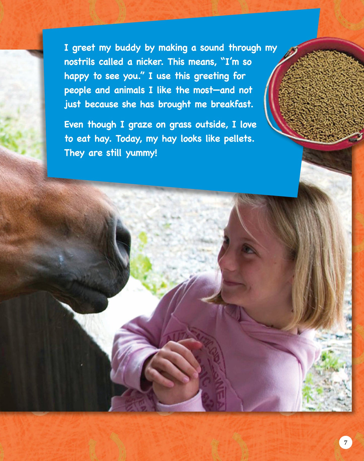 If Animals Could Talk: Horses