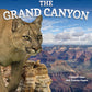 Discover Great National Parks: Grand Canyon
