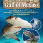 Amazing Creatures of the Gulf of Mexico