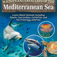 Magnificent Creatures of the Mediterranean Sea